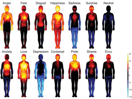 Biometrics is a physical response to an emotional stimulus.  These responses are autonomic and are observable.